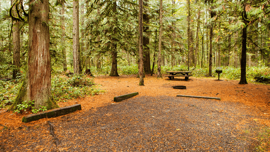 Clearing a site for setting up tent