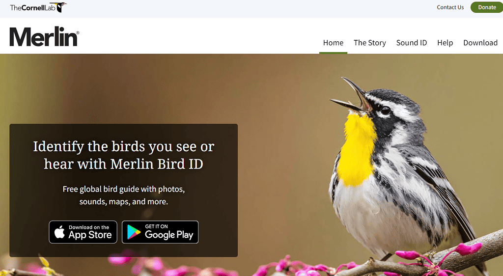 Merlin Bird ID by Cornell Lab