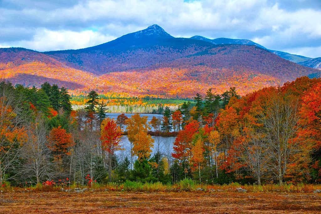 White-Mountain-National-Forest